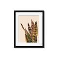 Picture of Color Block Leaves V _GroupedProduct_Rectangle_Portrait_Framed_Matted_