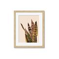 Picture of Color Block Leaves V _GroupedProduct_Rectangle_Portrait_Framed_Matted_