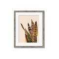 Picture of Color Block Leaves V _GroupedProduct_Rectangle_Portrait_Framed_Matted_