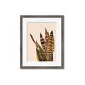 Picture of Color Block Leaves V _GroupedProduct_Rectangle_Portrait_Framed_Matted_