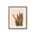 Picture of Color Block Leaves V _GroupedProduct_Rectangle_Portrait_Framed_Matted_