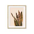 Picture of Color Block Leaves V _GroupedProduct_Rectangle_Portrait_Framed_Matted_
