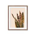 Picture of Color Block Leaves V _GroupedProduct_Rectangle_Portrait_Framed_Matted_