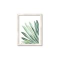 Picture of Tropical Leaf I  _GroupedProduct_Rectangle_Portrait_Framed_Matted_
