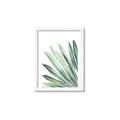 Picture of Tropical Leaf I  _GroupedProduct_Rectangle_Portrait_Framed_Matted_