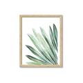 Picture of Tropical Leaf I  _GroupedProduct_Rectangle_Portrait_Framed_Matted_