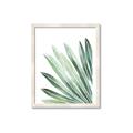 Picture of Tropical Leaf I  _GroupedProduct_Rectangle_Portrait_Framed_Matted_