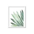 Picture of Tropical Leaf I  _GroupedProduct_Rectangle_Portrait_Framed_Matted_