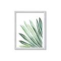 Picture of Tropical Leaf I  _GroupedProduct_Rectangle_Portrait_Framed_Matted_