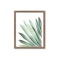 Picture of Tropical Leaf I  _GroupedProduct_Rectangle_Portrait_Framed_Matted_