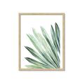 Picture of Tropical Leaf I  _GroupedProduct_Rectangle_Portrait_Framed_Matted_