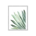 Picture of Tropical Leaf I  _GroupedProduct_Rectangle_Portrait_Framed_Matted_
