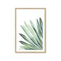 Picture of Tropical Leaf I  _GroupedProduct_Rectangle_Portrait_Framed_Matted_