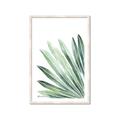 Picture of Tropical Leaf I  _GroupedProduct_Rectangle_Portrait_Framed_Matted_