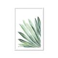 Picture of Tropical Leaf I  _GroupedProduct_Rectangle_Portrait_Framed_Matted_
