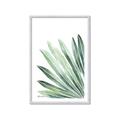 Picture of Tropical Leaf I  _GroupedProduct_Rectangle_Portrait_Framed_Matted_