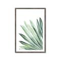 Picture of Tropical Leaf I  _GroupedProduct_Rectangle_Portrait_Framed_Matted_
