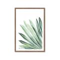 Picture of Tropical Leaf I  _GroupedProduct_Rectangle_Portrait_Framed_Matted_