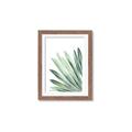 Picture of Tropical Leaf I  _GroupedProduct_Rectangle_Portrait_Framed_Matted_