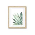 Picture of Tropical Leaf I  _GroupedProduct_Rectangle_Portrait_Framed_Matted_