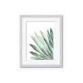 Picture of Tropical Leaf I  _GroupedProduct_Rectangle_Portrait_Framed_Matted_