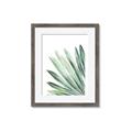 Picture of Tropical Leaf I  _GroupedProduct_Rectangle_Portrait_Framed_Matted_