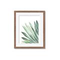 Picture of Tropical Leaf I  _GroupedProduct_Rectangle_Portrait_Framed_Matted_