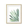 Picture of Tropical Leaf I  _GroupedProduct_Rectangle_Portrait_Framed_Matted_