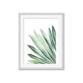 Picture of Tropical Leaf I  _GroupedProduct_Rectangle_Portrait_Framed_Matted_