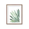 Picture of Tropical Leaf I  _GroupedProduct_Rectangle_Portrait_Framed_Matted_