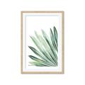 Picture of Tropical Leaf I  _GroupedProduct_Rectangle_Portrait_Framed_Matted_