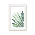 Picture of Tropical Leaf I  _GroupedProduct_Rectangle_Portrait_Framed_Matted_