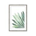 Picture of Tropical Leaf I  _GroupedProduct_Rectangle_Portrait_Framed_Matted_