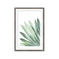 Picture of Tropical Leaf I  _GroupedProduct_Rectangle_Portrait_Framed_Matted_