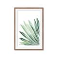 Picture of Tropical Leaf I  _GroupedProduct_Rectangle_Portrait_Framed_Matted_