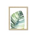 Picture of Tropical Leaf II _GroupedProduct_Rectangle_Portrait_Framed_Matted_