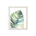 Picture of Tropical Leaf II _GroupedProduct_Rectangle_Portrait_Framed_Matted_