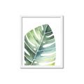 Picture of Tropical Leaf II _GroupedProduct_Rectangle_Portrait_Framed_Matted_