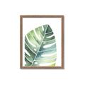 Picture of Tropical Leaf II _GroupedProduct_Rectangle_Portrait_Framed_Matted_