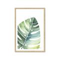 Picture of Tropical Leaf II _GroupedProduct_Rectangle_Portrait_Framed_Matted_