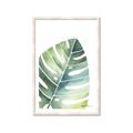 Picture of Tropical Leaf II _GroupedProduct_Rectangle_Portrait_Framed_Matted_