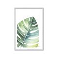 Picture of Tropical Leaf II _GroupedProduct_Rectangle_Portrait_Framed_Matted_