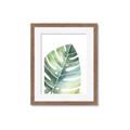 Picture of Tropical Leaf II _GroupedProduct_Rectangle_Portrait_Framed_Matted_