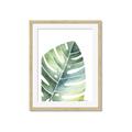 Picture of Tropical Leaf II _GroupedProduct_Rectangle_Portrait_Framed_Matted_