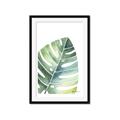 Picture of Tropical Leaf II _GroupedProduct_Rectangle_Portrait_Framed_Matted_