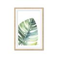 Picture of Tropical Leaf II _GroupedProduct_Rectangle_Portrait_Framed_Matted_