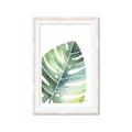 Picture of Tropical Leaf II _GroupedProduct_Rectangle_Portrait_Framed_Matted_