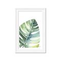 Picture of Tropical Leaf II _GroupedProduct_Rectangle_Portrait_Framed_Matted_