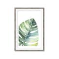 Picture of Tropical Leaf II _GroupedProduct_Rectangle_Portrait_Framed_Matted_