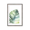 Picture of Tropical Leaf II _GroupedProduct_Rectangle_Portrait_Framed_Matted_